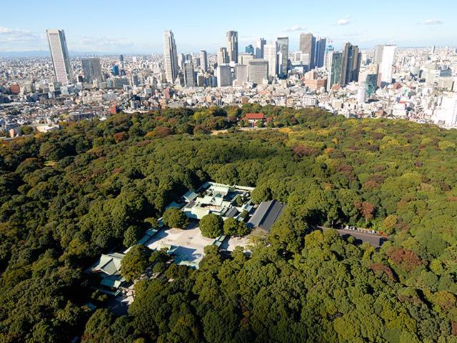 Romantic Flat In The Heart Of Shibuya / 7Min Walk Tokyo Luaran gambar